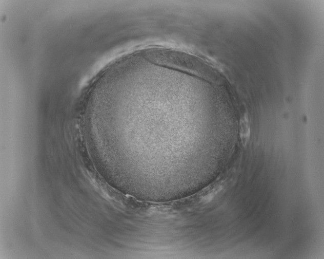 X0000052601496200507221620