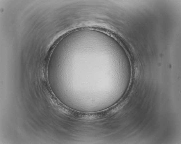 X0000052601497200507221620