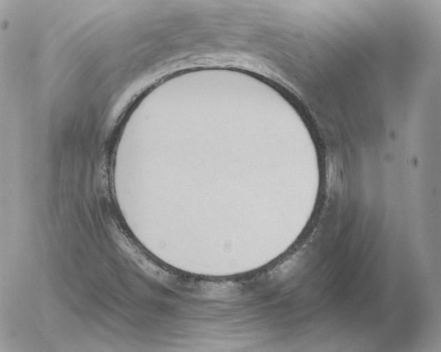 X0000052601498200507221620