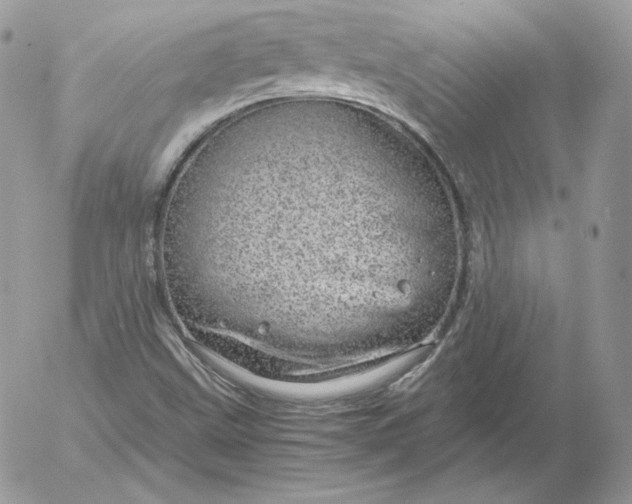 X0000052601499200507221620