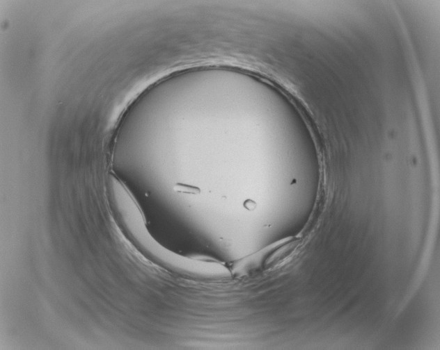 X0000052601500200507221620