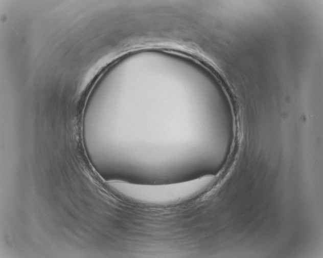 X0000052601501200507221620