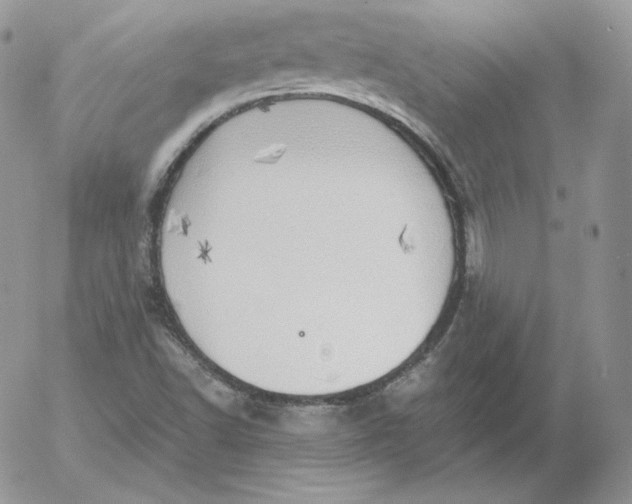 X0000052601502200507221620