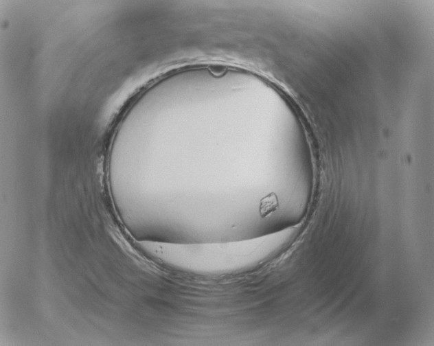 X0000052601503200507221621