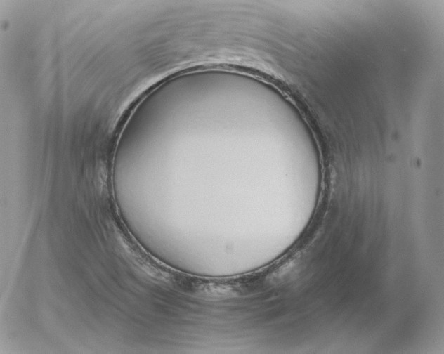 X0000052601505200507221621