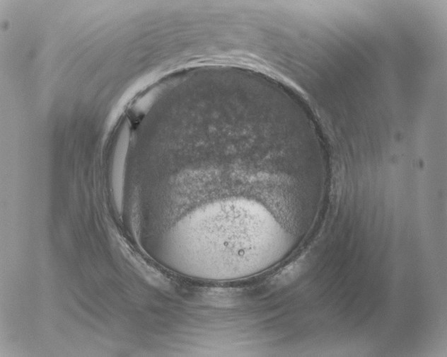 X0000052601506200507221621