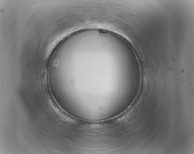 X0000052601507200507221621