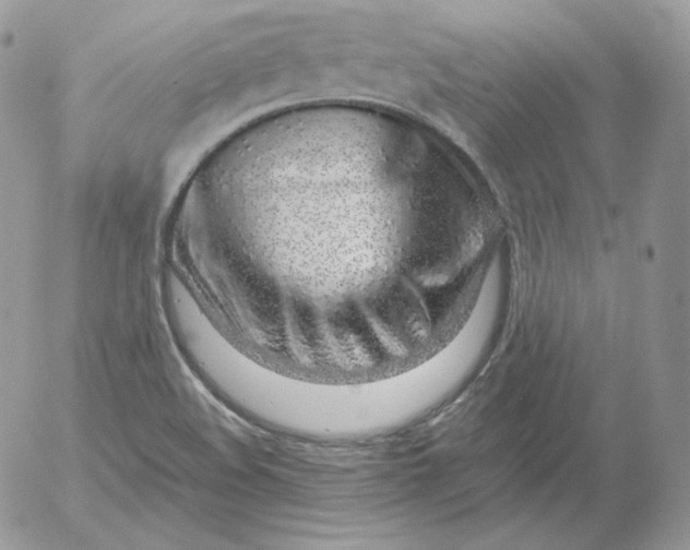 X0000052601508200507221621