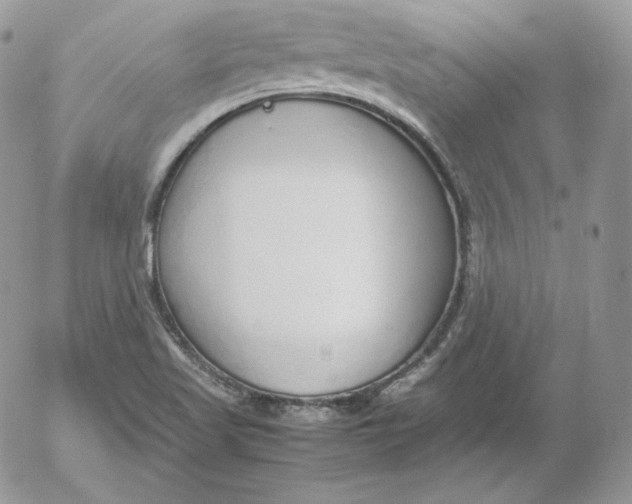 X0000052601509200507221621