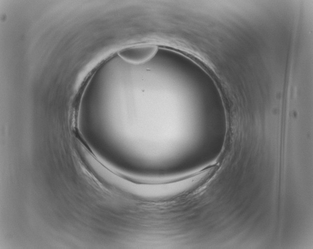 X0000052601510200507221621