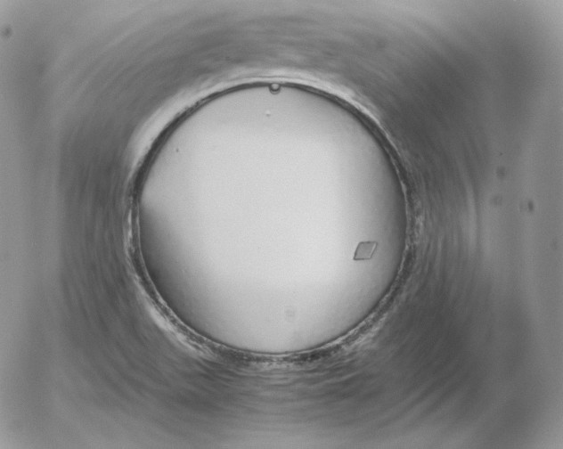 X0000052601511200507221621