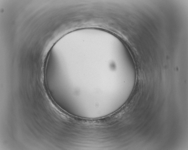 X0000052601512200507221621