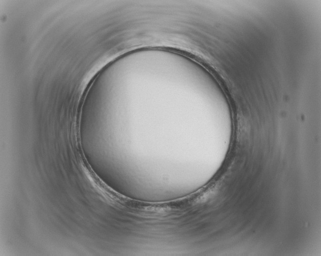 X0000052601513200507221621