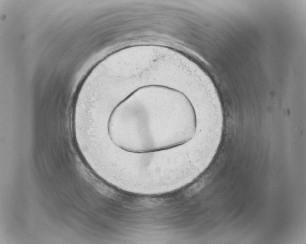 X0000052601514200507221621