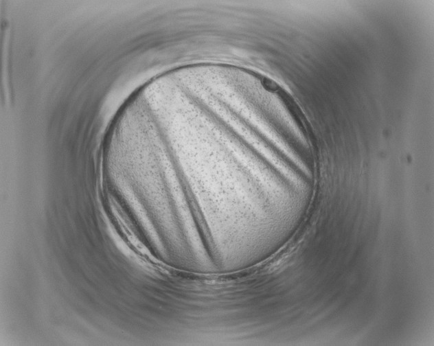 X0000052601515200507221621