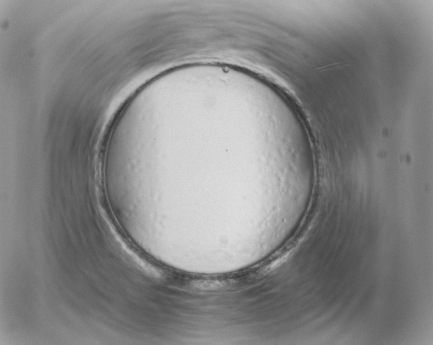 X0000052601517200507221621