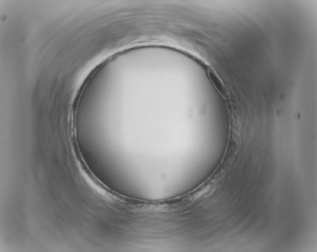 X0000052601519200507221621