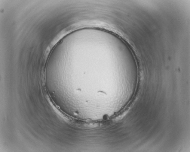 X0000052601521200507221621