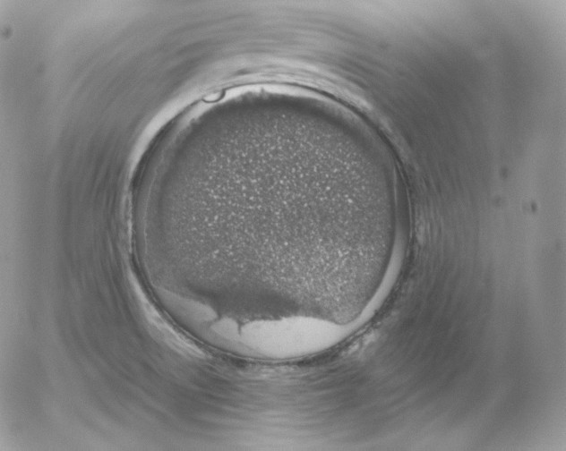 X0000052601522200507221621