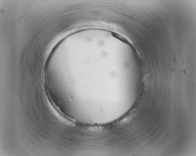 X0000052601523200507221621