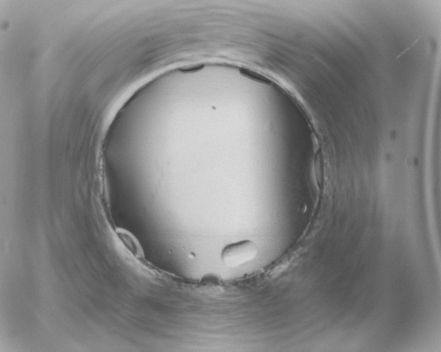 X0000052601524200507221621