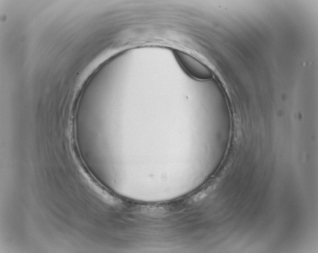 X0000052601525200507221621