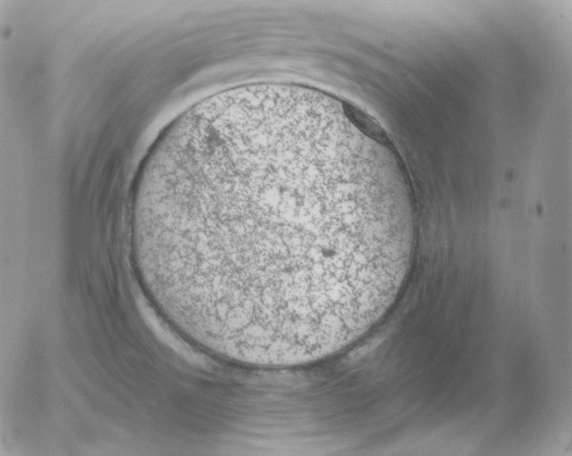 X0000052601526200507221621