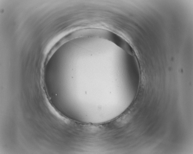 X0000052601528200507221621