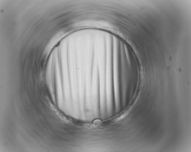 X0000052601529200507221621