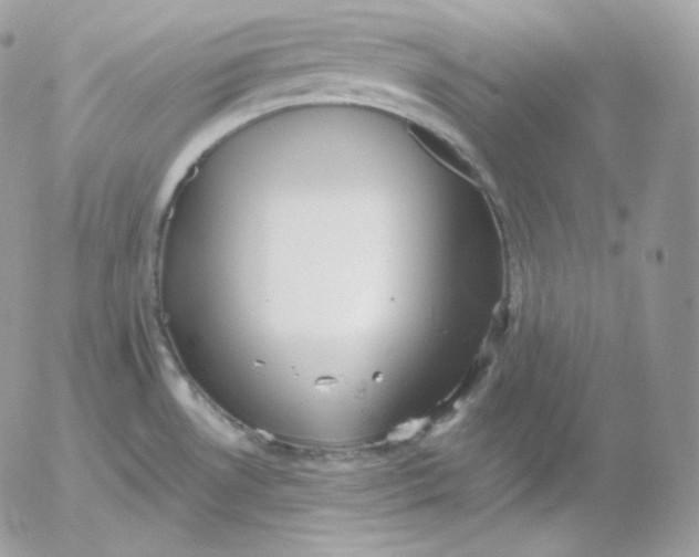 X0000052601530200507221621