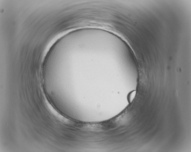 X0000052601531200507221621