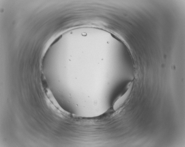 X0000052601532200507221621