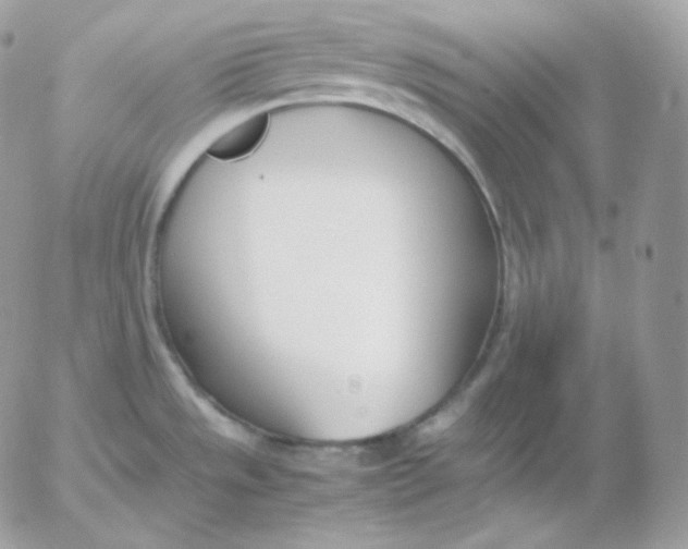 X0000052601533200507221621