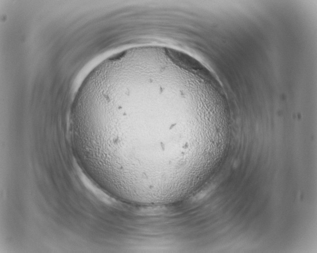 X0000052601535200507221621