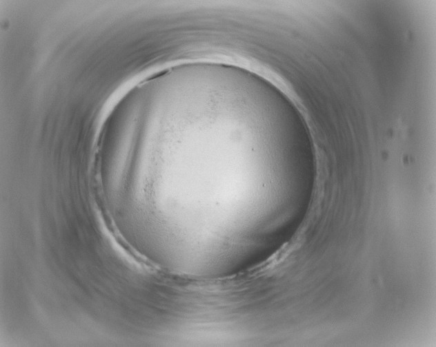 X0000052601536200507221621