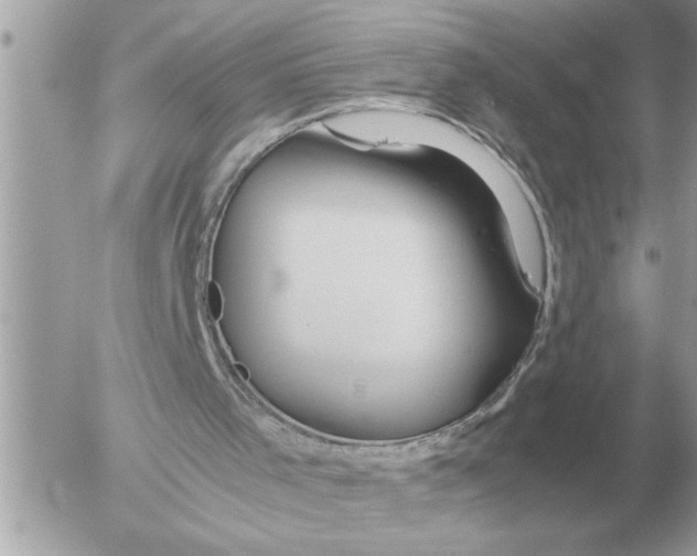 X0000052600001200507292135