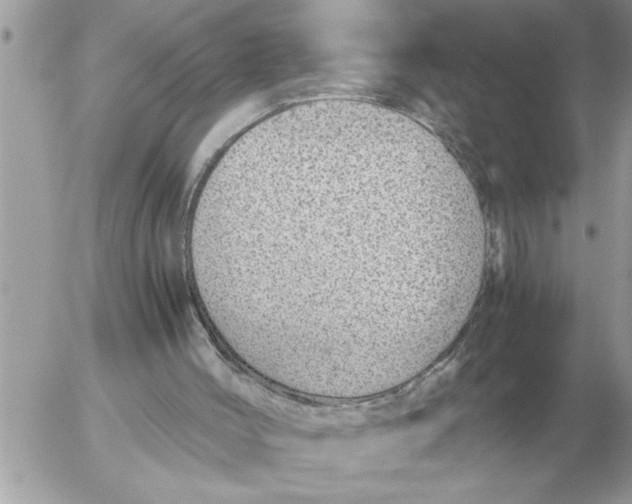 X0000052600004200507292134