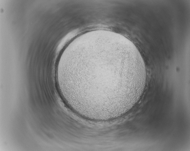 X0000052600006200507292134