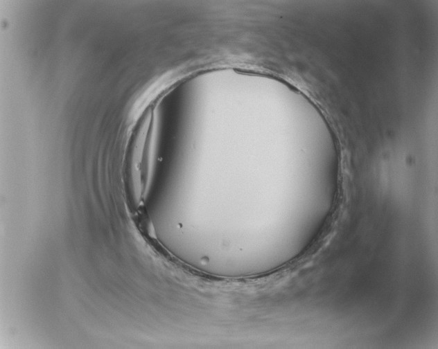 X0000052600007200507292134