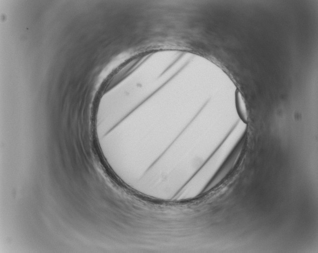 X0000052600008200507292134