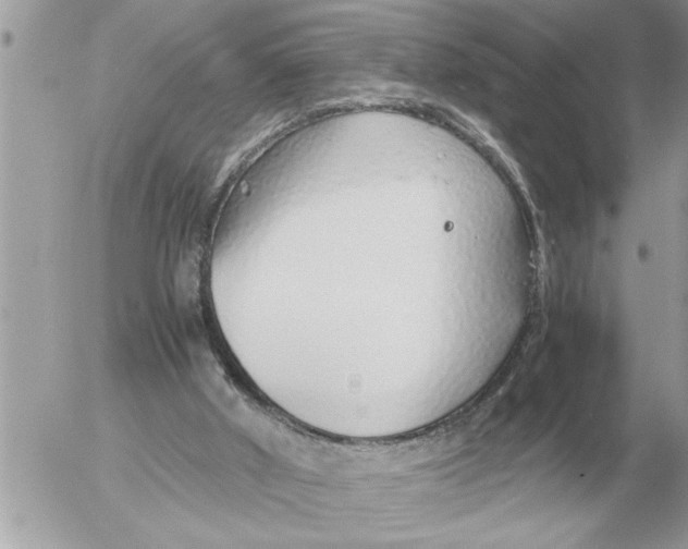 X0000052600010200507292134