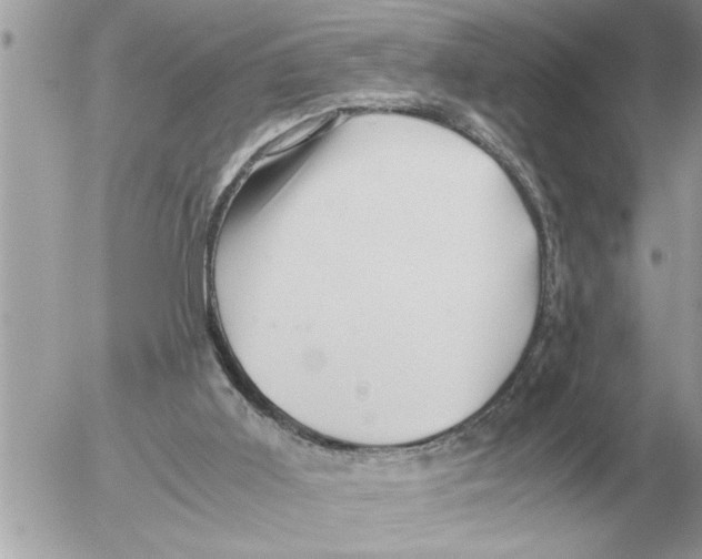 X0000052600011200507292134