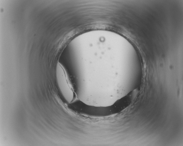 X0000052600013200507292134