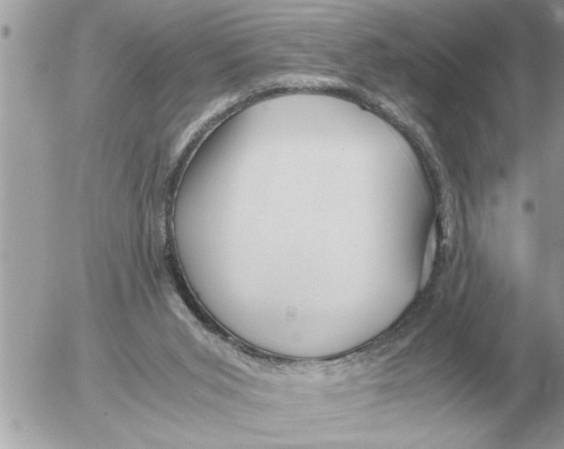 X0000052600015200507292134