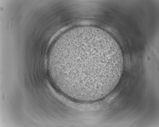 X0000052600016200507292134