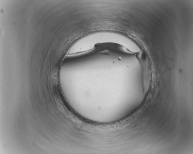 X0000052600017200507292134