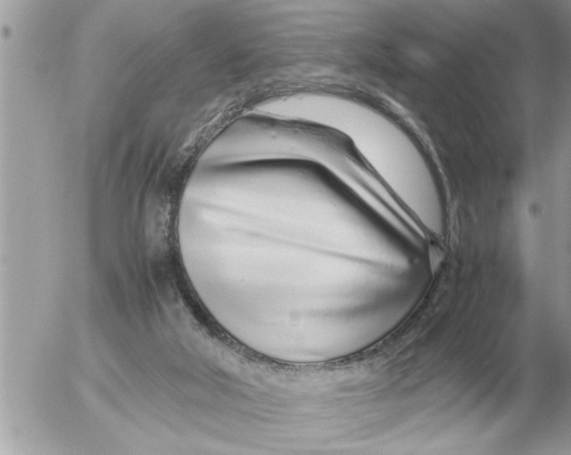 X0000052600018200507292134