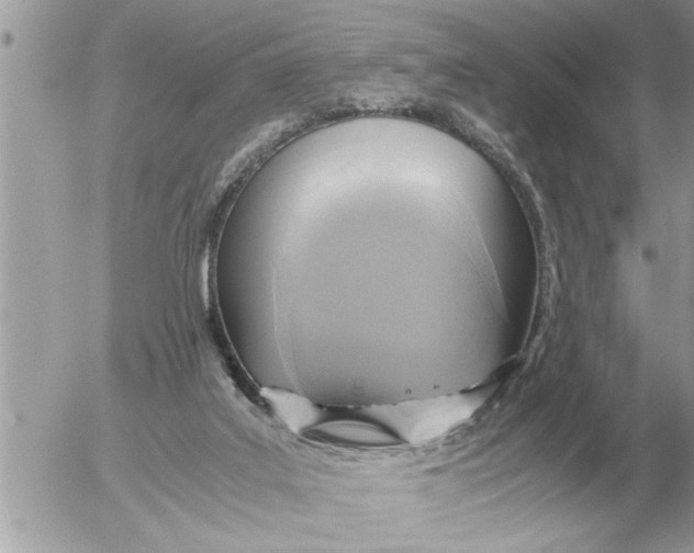 X0000052600019200507292134