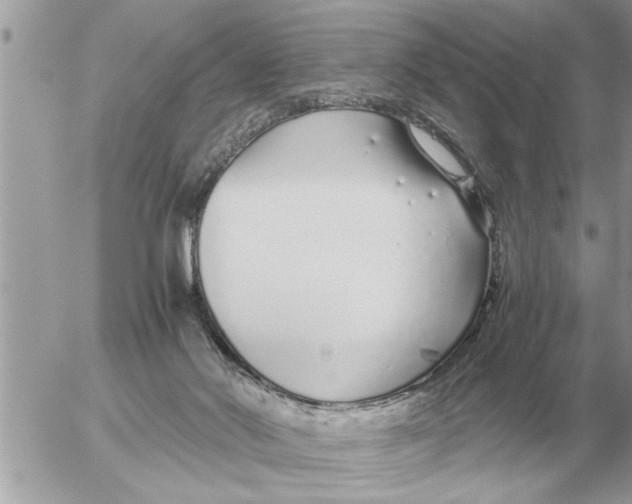 X0000052600022200507292134