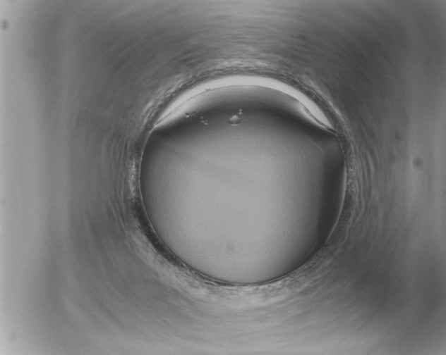 X0000052600023200507292134